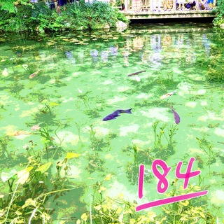 184.jpg